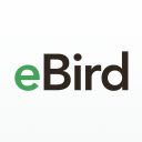 @ebird